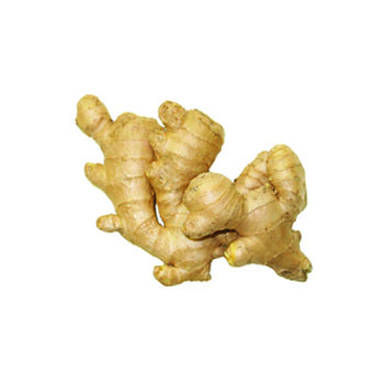 Ginger