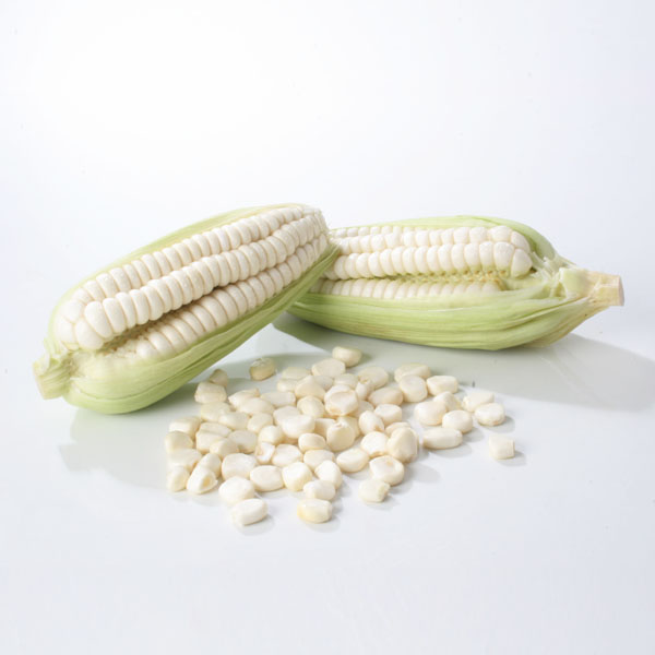 White Giant Corn